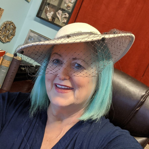 What You Can't See From a Quick Glance elaine-lindsay-@thebionicglamma-TROOL-social-media