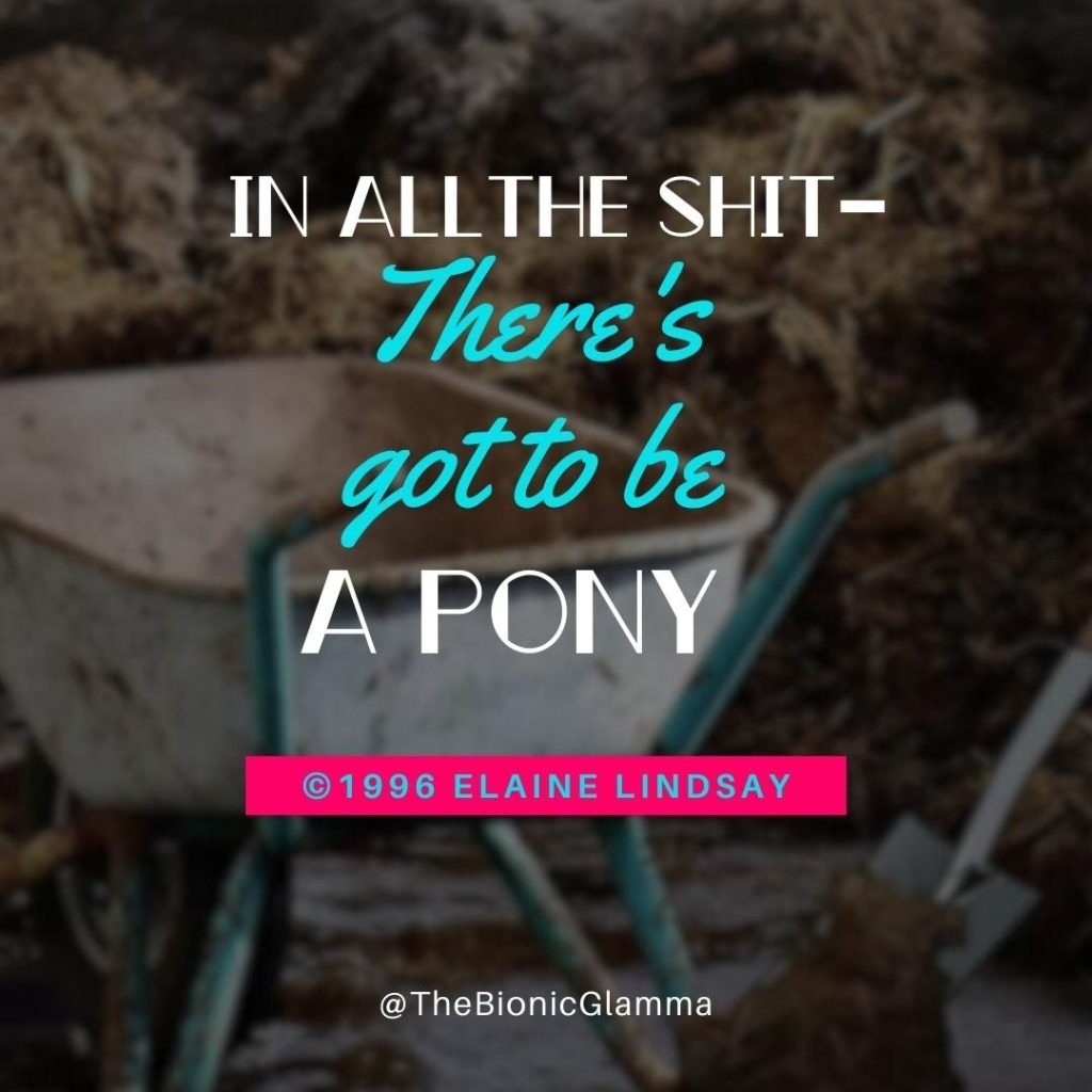 gotta-be-pony-v2-©1996-elaine-lindsay